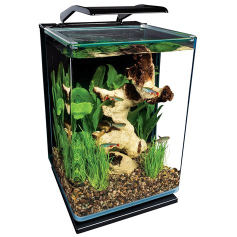 tall 5 gallon fish tank